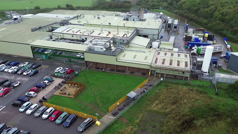 Pig Slaughterhouse Wide Shot of Unloading Area