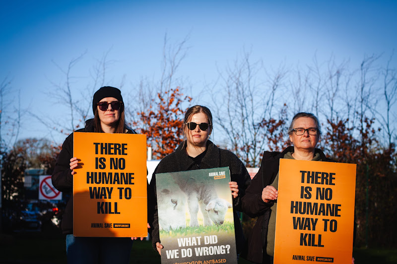 Activists at slaughterhouse vigil