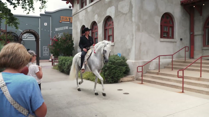A Decorative White Show Horse Being Ridden