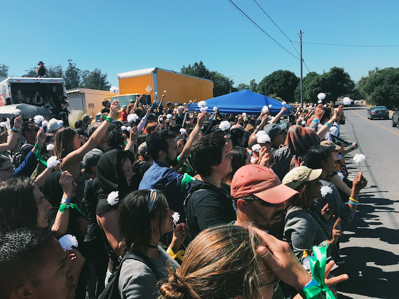 Activists Holding Flowers Outside Of Egg Farm