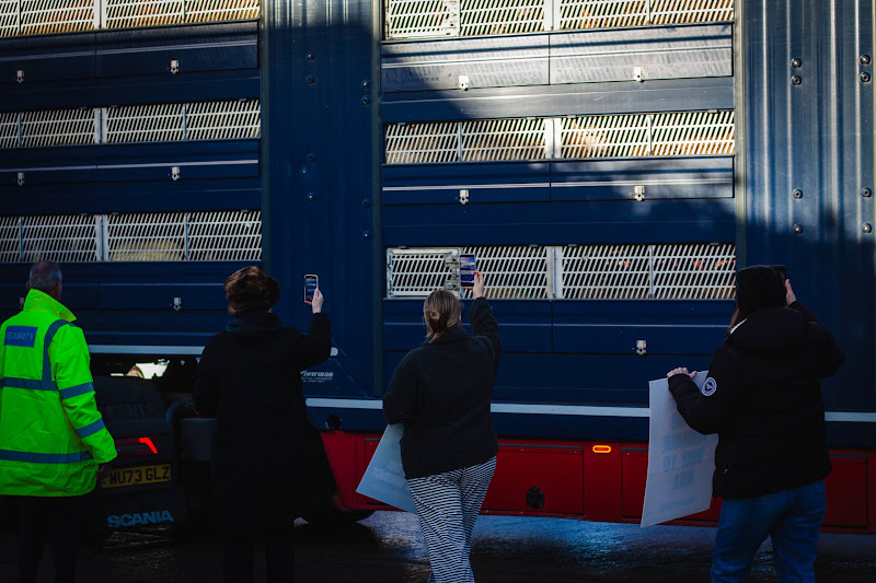 Activists at slaughterhouse vigil