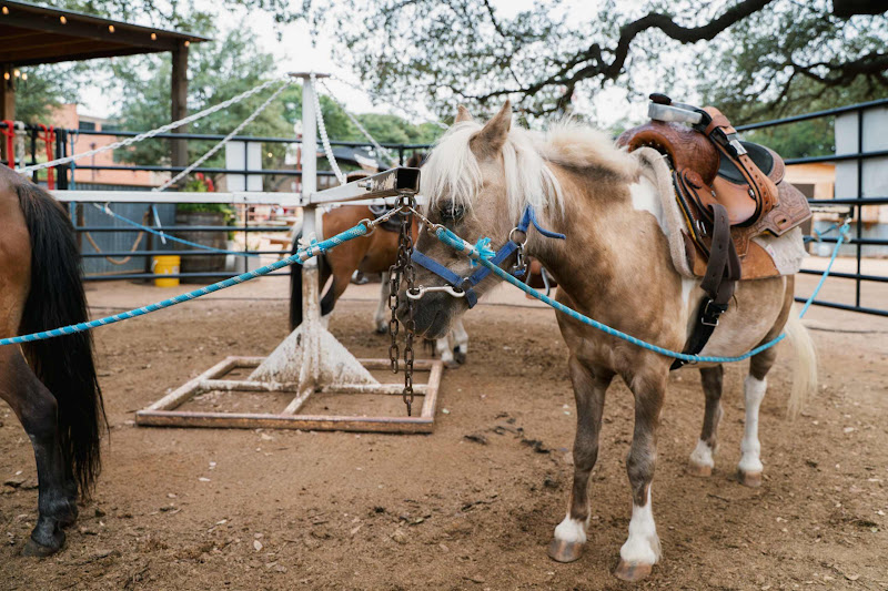 Pony Attached To Merry-Go-Round