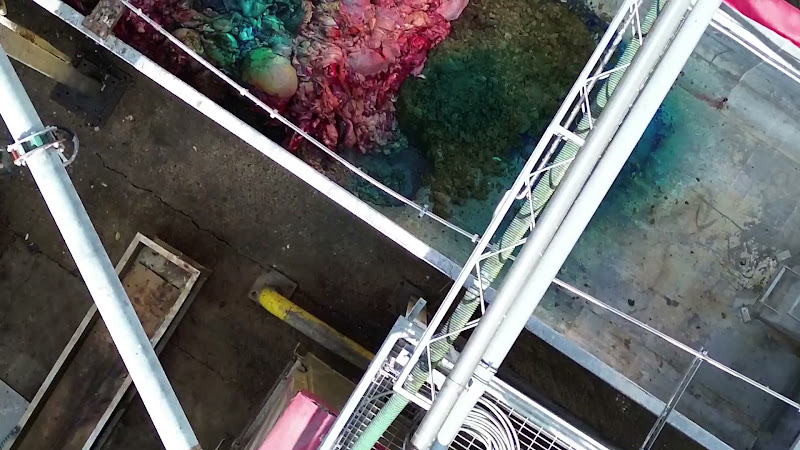 Overhead close-up of slaughterhouse gut-truck
