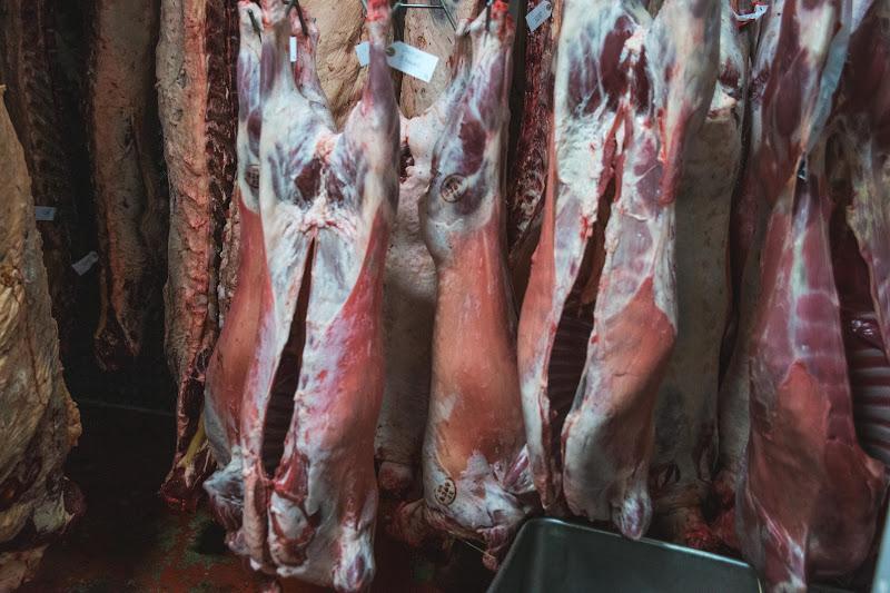 Carcass