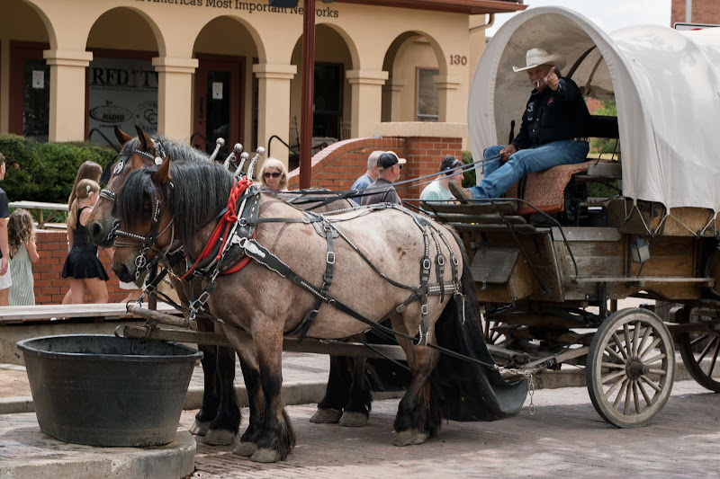 Horse & Cart