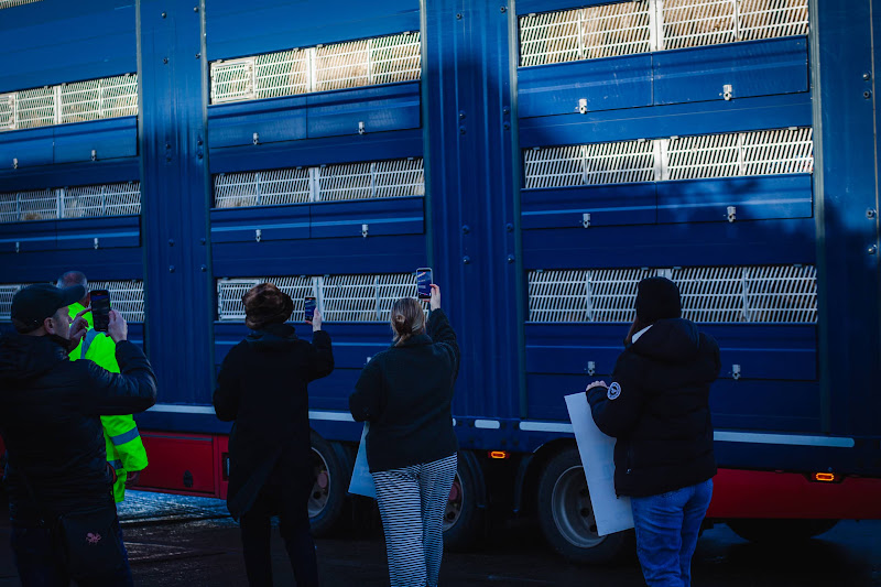 Activists at slaughterhouse vigil