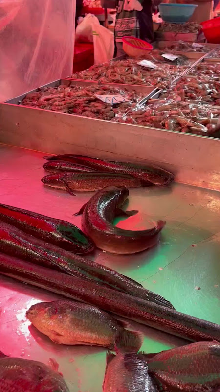 Snakehead Fish Suffocating At Food Market