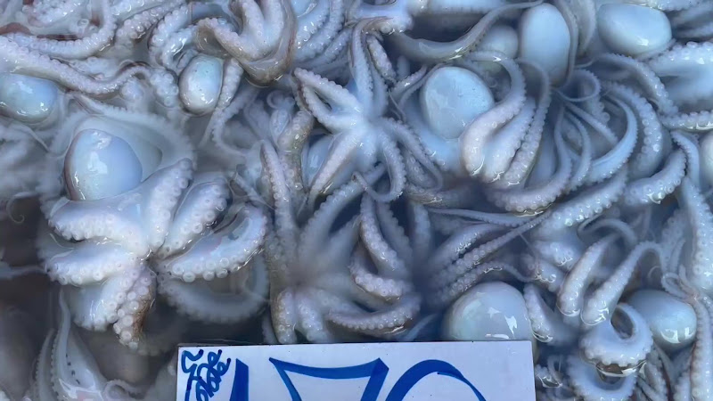 Octopus For Sale At Food Market