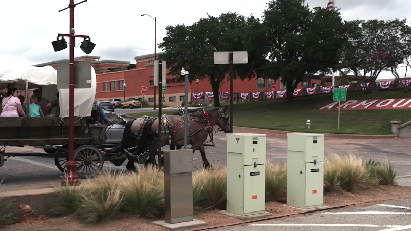 Horse & Cart