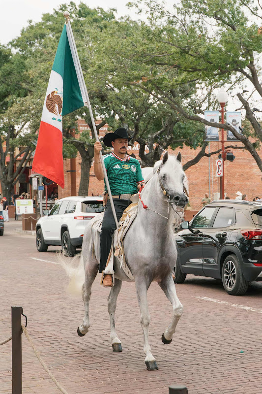 Man Riding A White Show Horse in Fort Worth