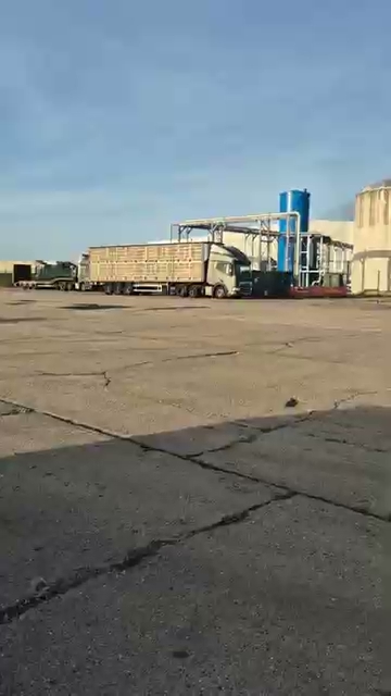 Chickens arriving on slaughterhouse truck