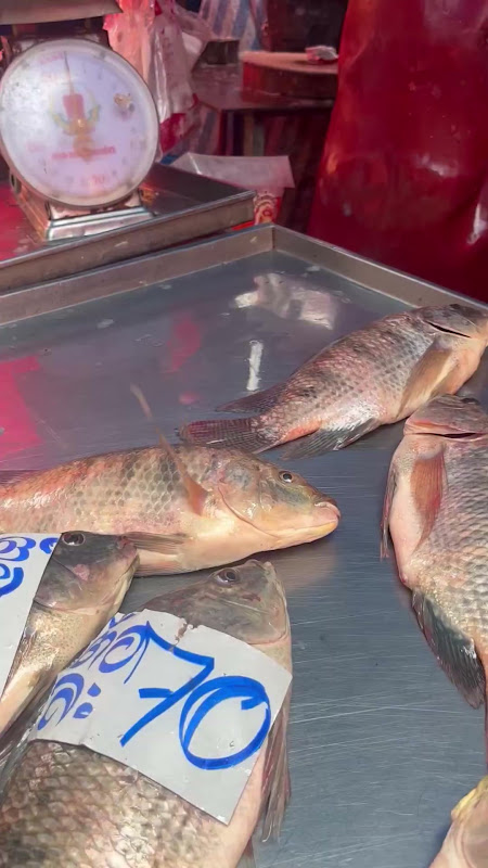 Fish suffocating at food market