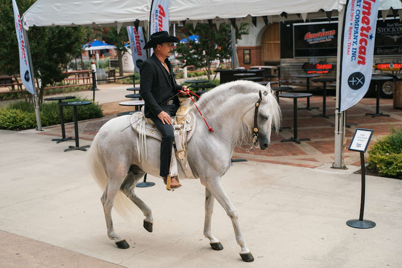 Decorative White Horse Being Ridden