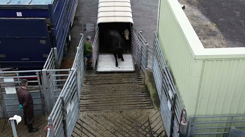 close up trialer unloading virtue