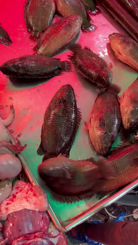 Live Fish & Dead Frogs At Food Market