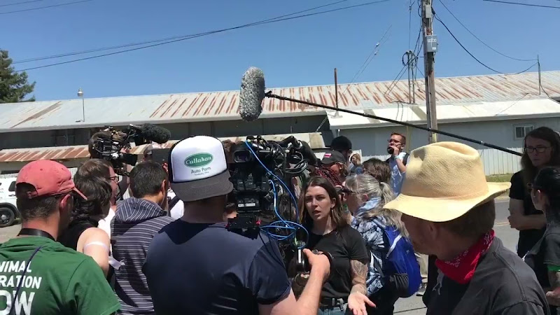 Reporter Outside Of Egg Farm