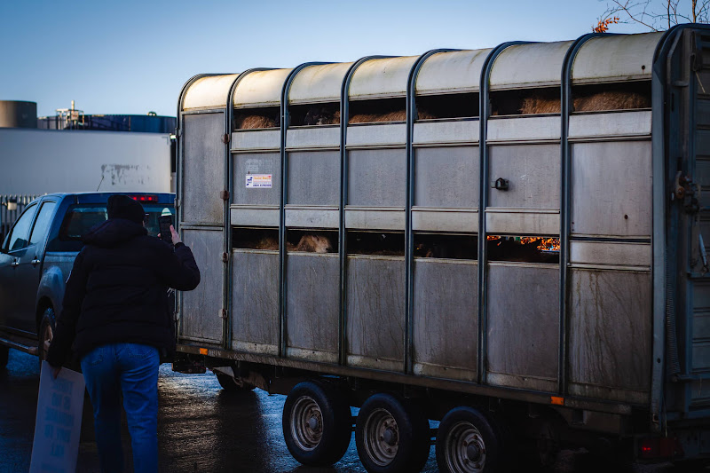 Activists at slaughterhouse vigil