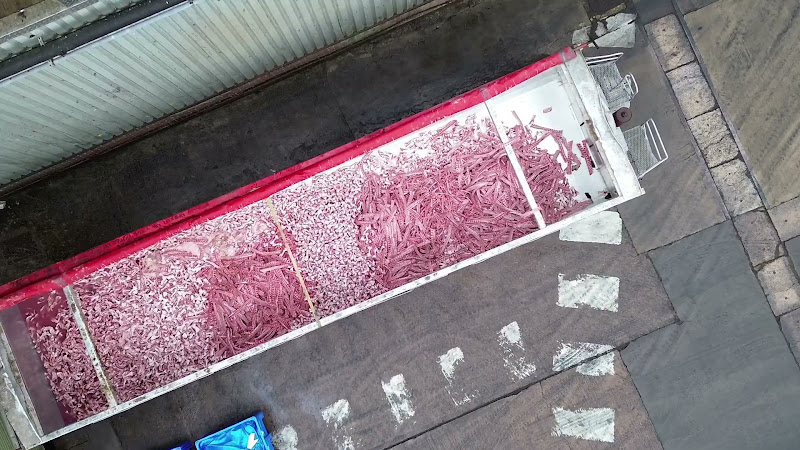 Gut Truck at Pig Slaughterhouse