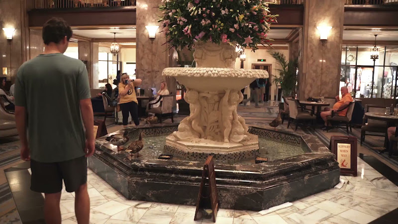 Ducks Kept In Hotel Fountain