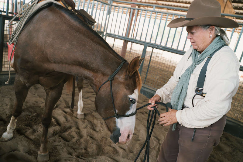 A Handler With A Horse