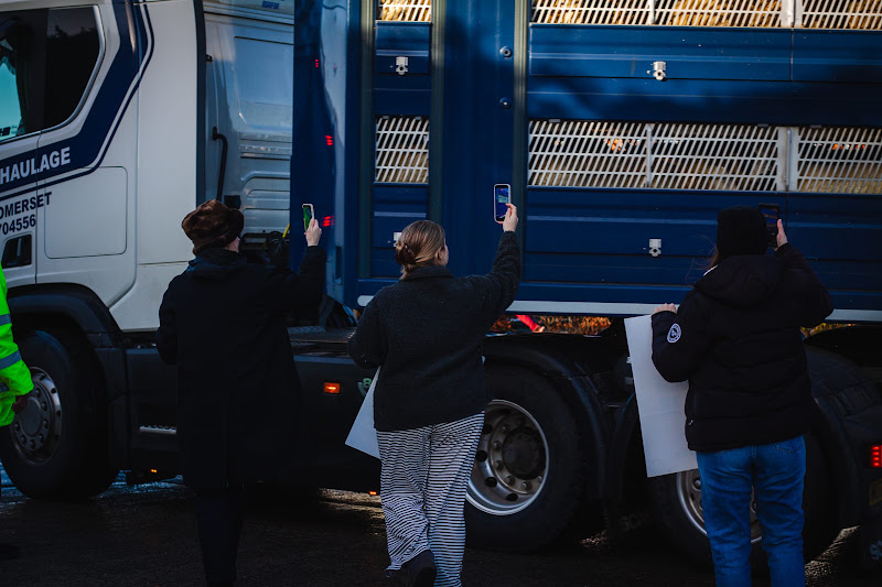 Activists at slaughterhouse vigil