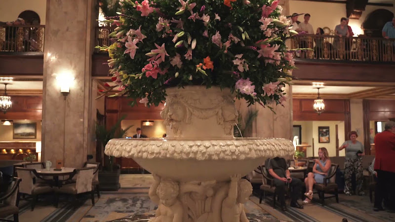 Ducks Kept In Hotel Fountain