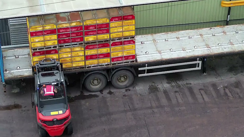 Forklift unloads chicken crates from truck - close up