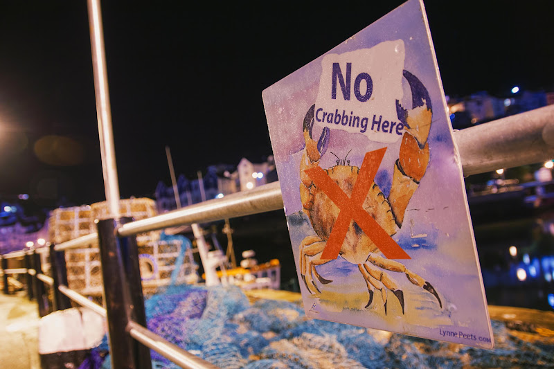 Crab