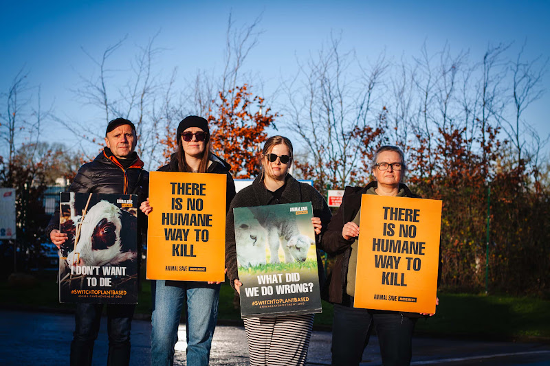 Activists at slaughterhouse vigil