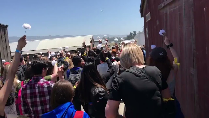 Large Group Of DXE Activists Walk On To Egg Farm