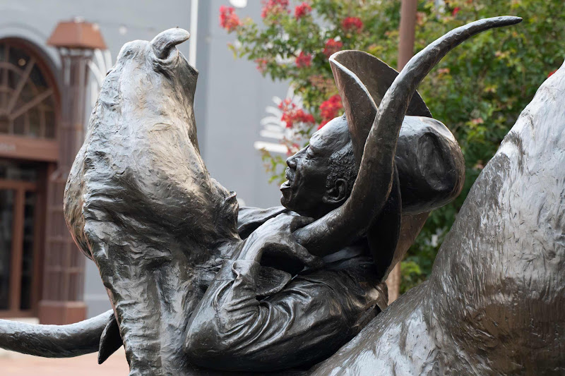 Statue Of An American Bullfighter Wrestling A Long Horn Bull