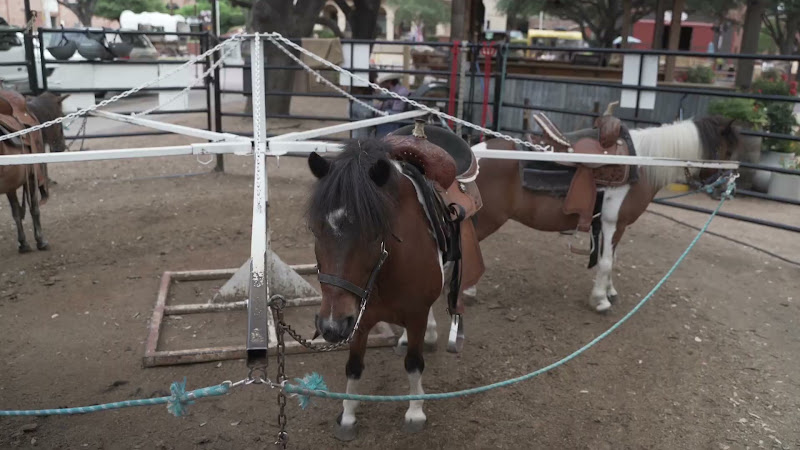 Pony Merry-Go-Around At Fort Worth Stockyards