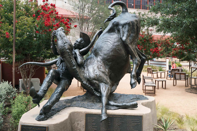 Statue Of An American Bullfighter Wrestling A Long Horn Bull