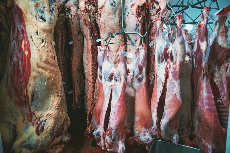 Meat