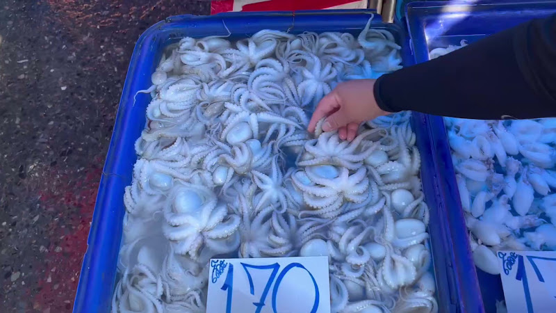 Octopus For Sale At Food Market