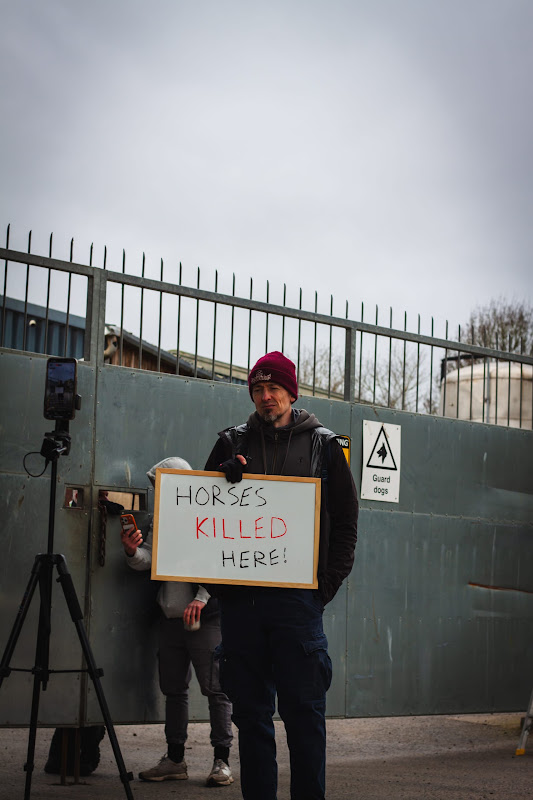 Activist Livestreaming Outside Horse Slaughterhouse