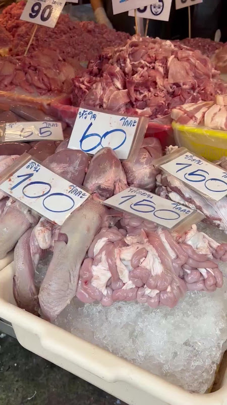 Intestines for sale