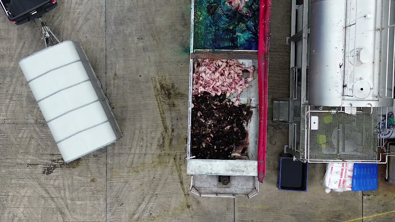 Gut Truck View From Above