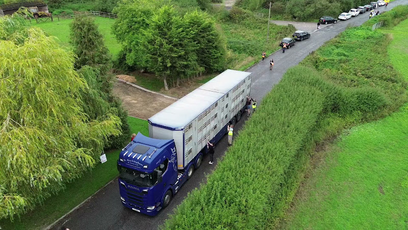 Activists with Pig Slaughter Truck