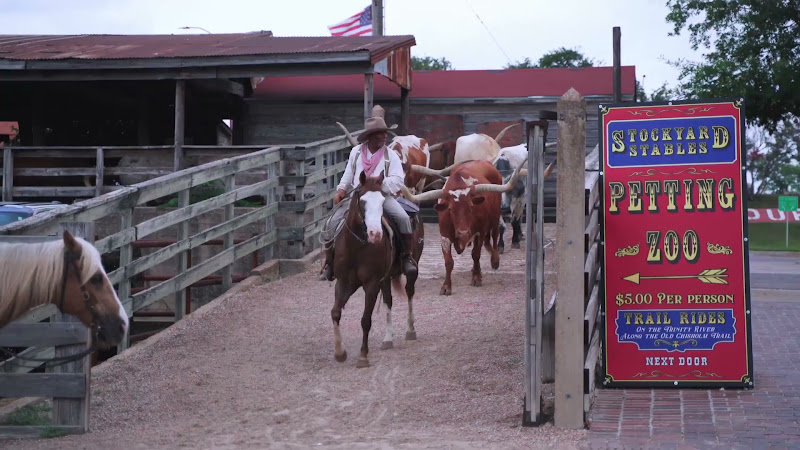 Start Of The Cattle Drive