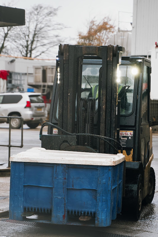 Waste / Bins