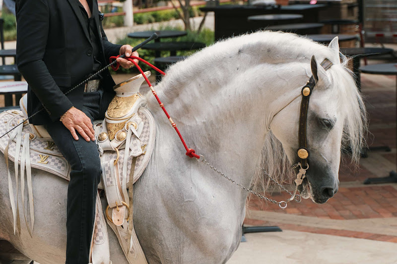 Close Up Of Decorative White Horse Being Ridden