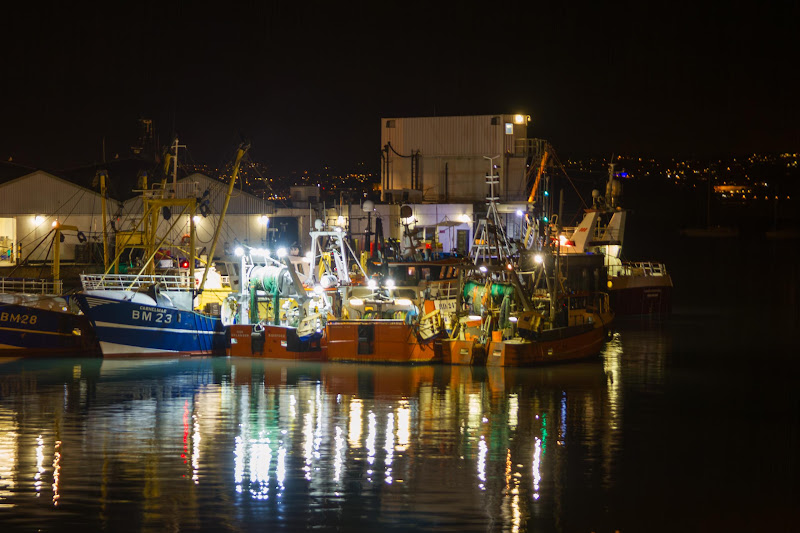 Fishing Boats