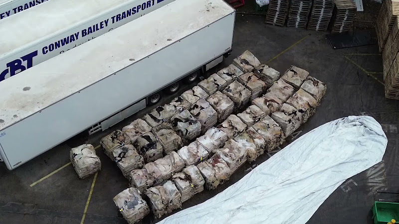 Cow Skins Piled Up at Slaughterhouse - Close Ups