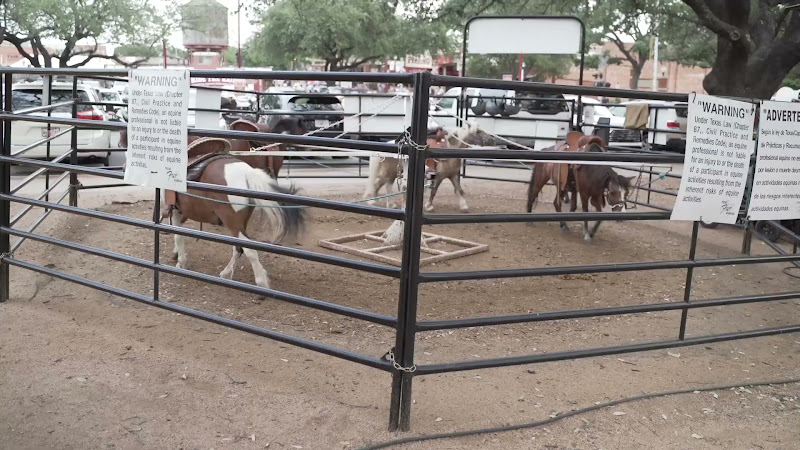 Pony Merry-Go-Around At Fort Worth Stockyards