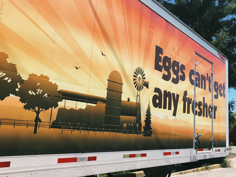 Egg Production