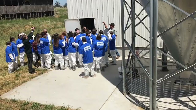 DXE Activists Attempting To Enter Chicken Barn