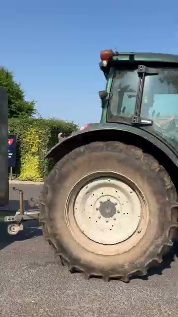 Cows in slaughterhouse truck