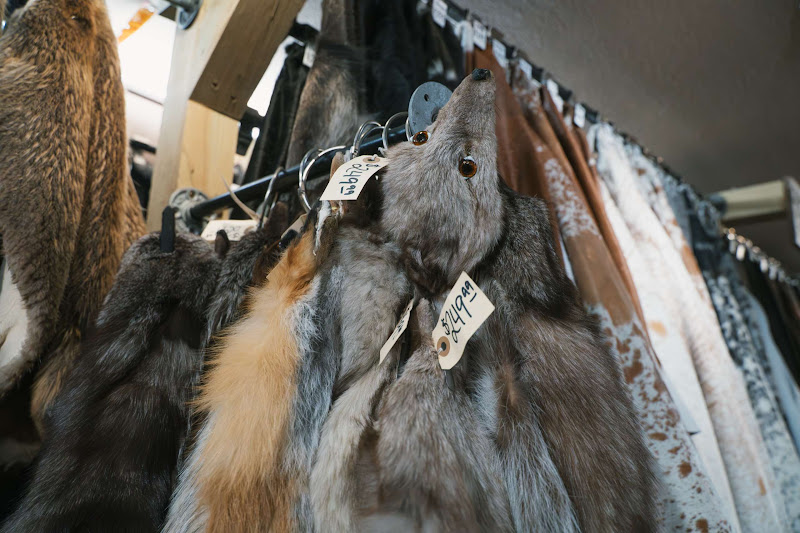 Fox Fur Close-Up