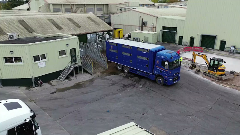 Animal transport waiting at slaughterhouse - cinematic fly over shot